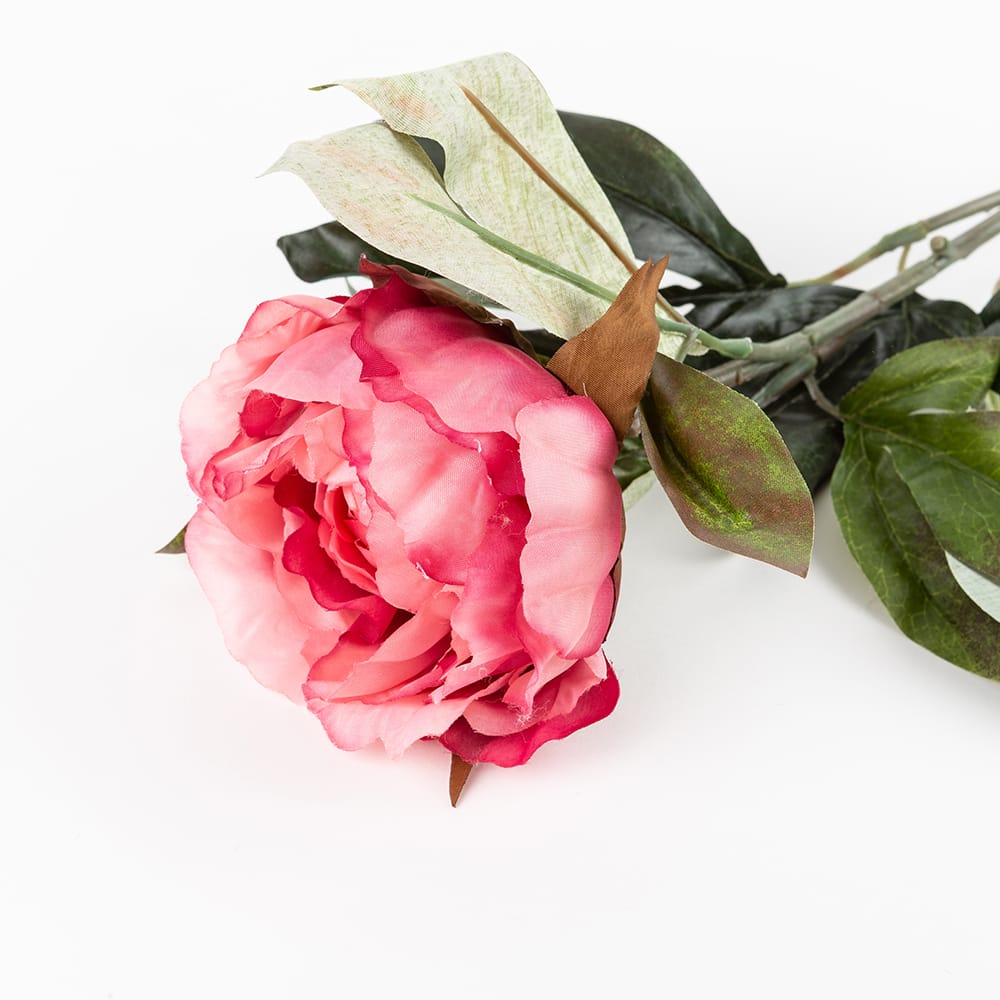 Vara peonia fucsia 80cm